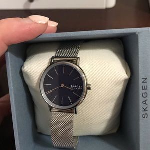 Skagen Mesh watch